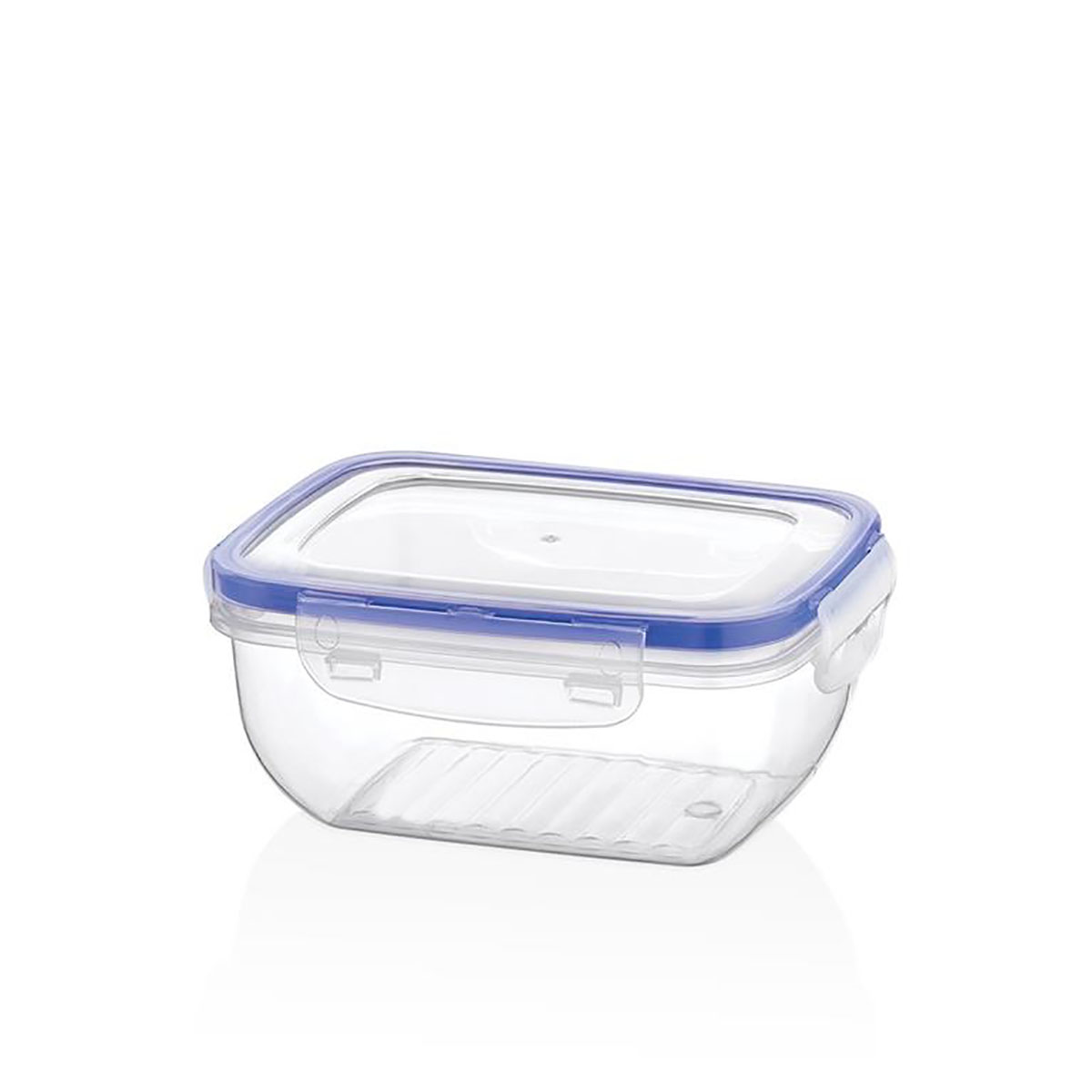 Recipiente plástico transparente com tampa azul hermética