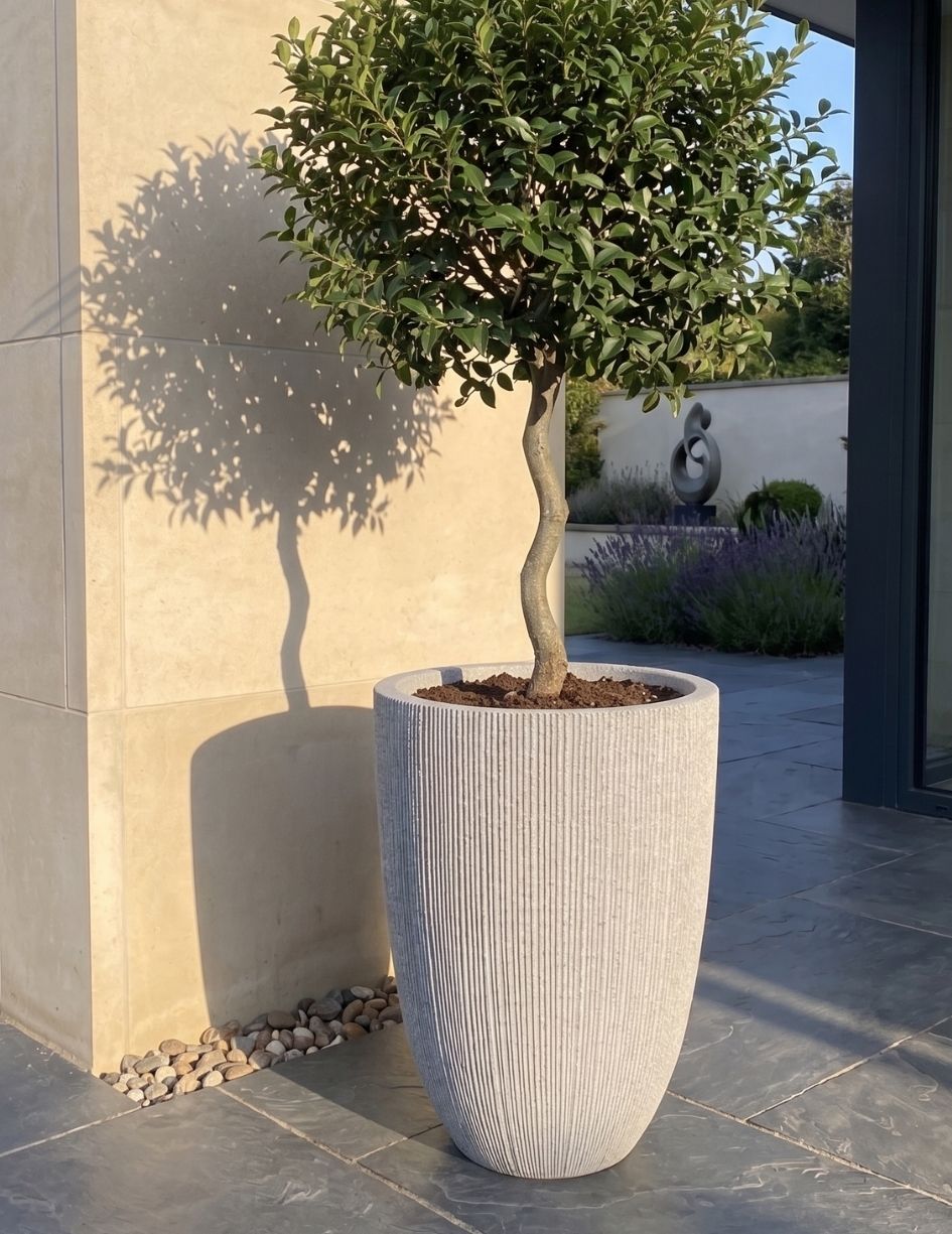 Vaso alto de cerâmica cinzenta com planta de tronco fino e folhagem verde