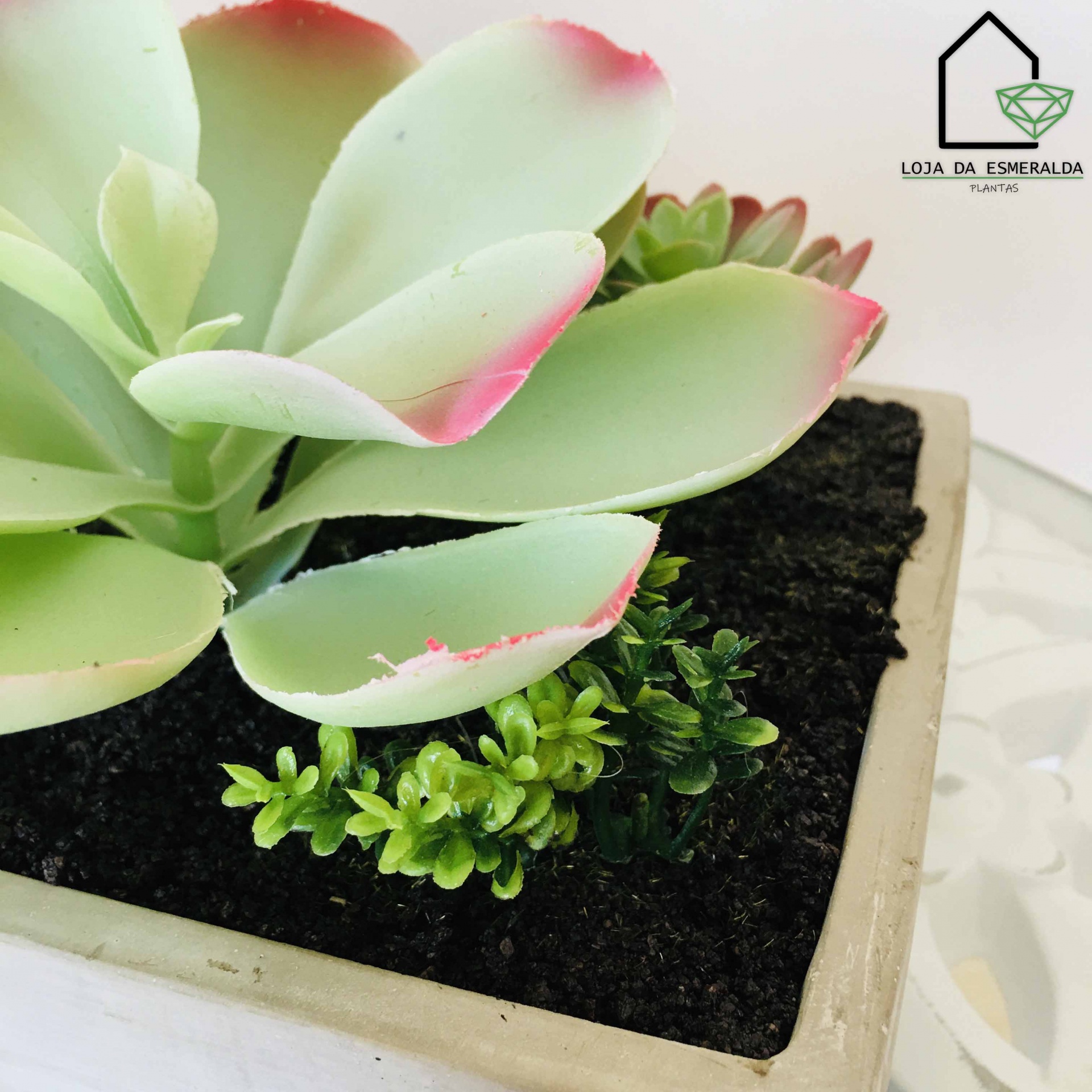 Planta suculenta artificial em vaso quadrado bege com terra preta