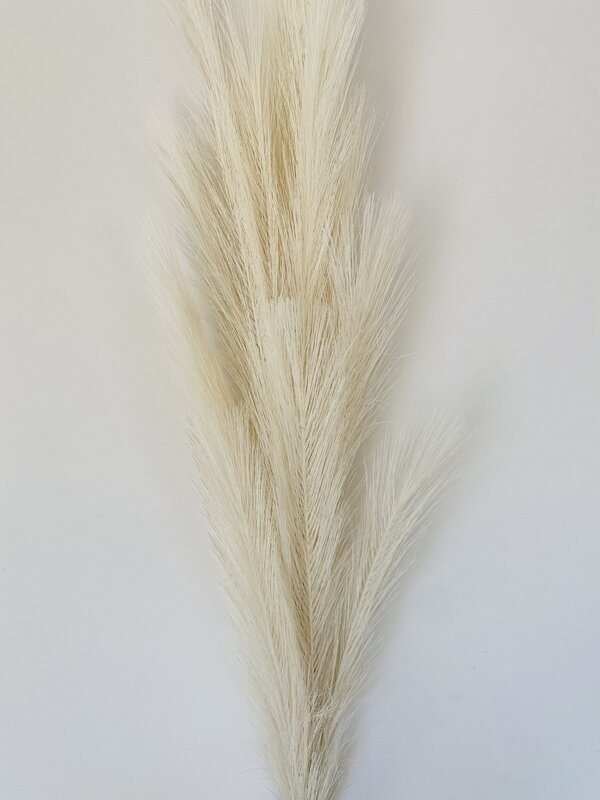 Feixe de plumas decorativas bege claro contra parede branca