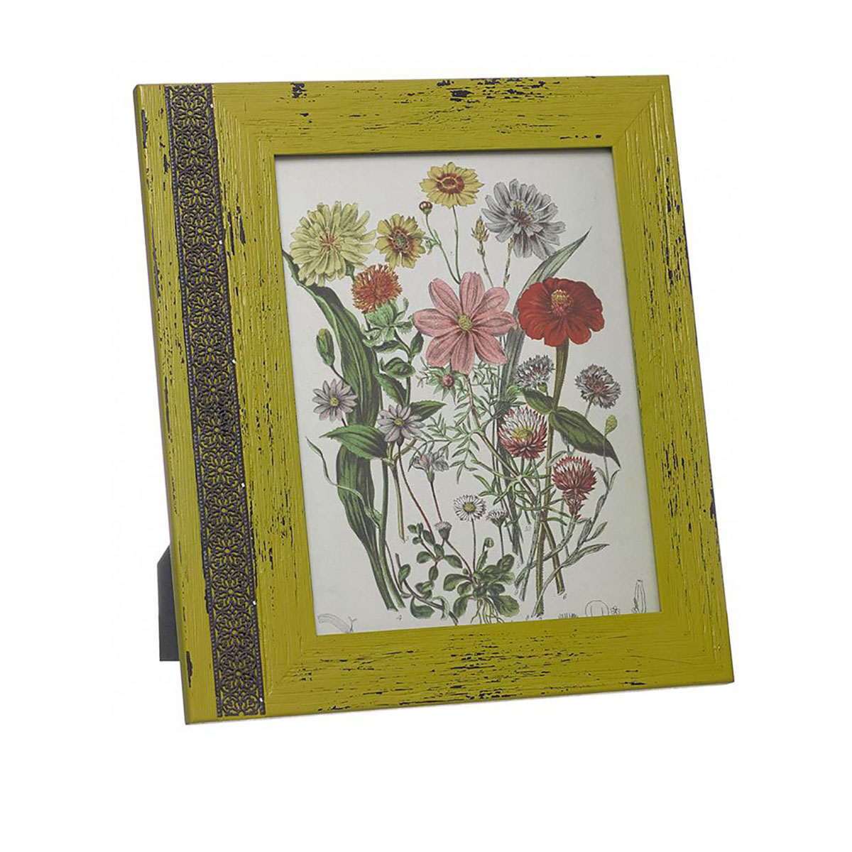 Moldura de fotografia verde envelhecida com ilustração floral colorida