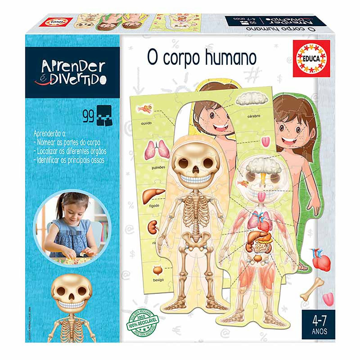 Caixa de brinquedo educativa O corpo humano com ilustrações do esqueleto e órgãos em português