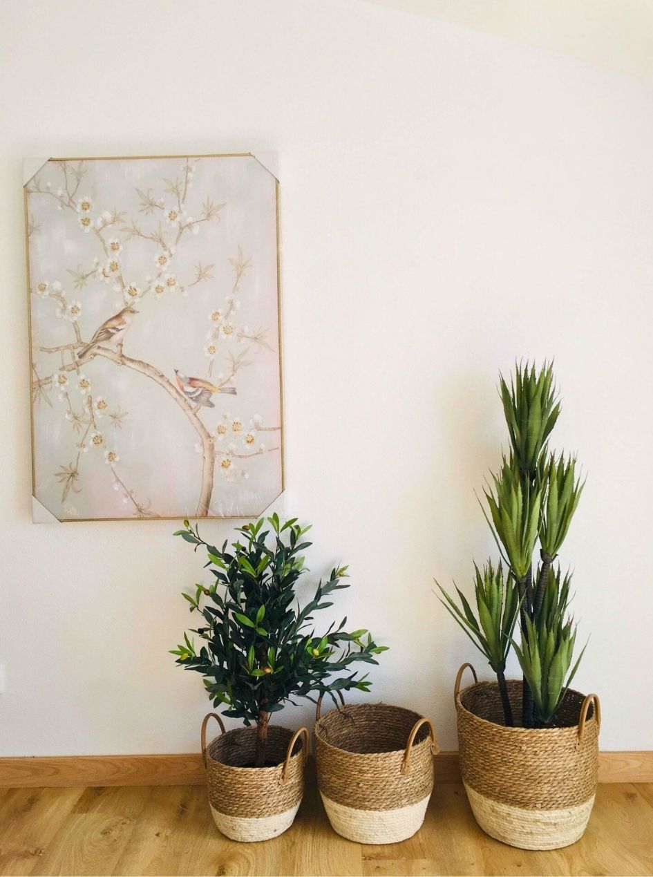 Três cestos trançados com plantas verdes e quadro com pássaros num ambiente interior