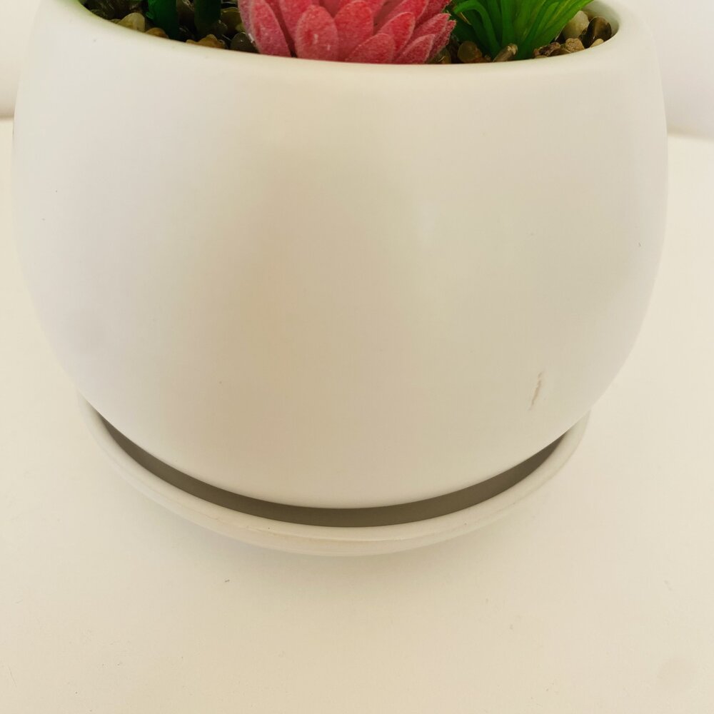Vaso redondo branco com plantas suculentas verdes e rosa