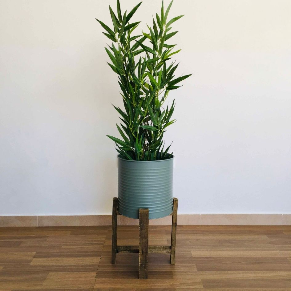 Planta verde em vaso cinza com suporte de madeira