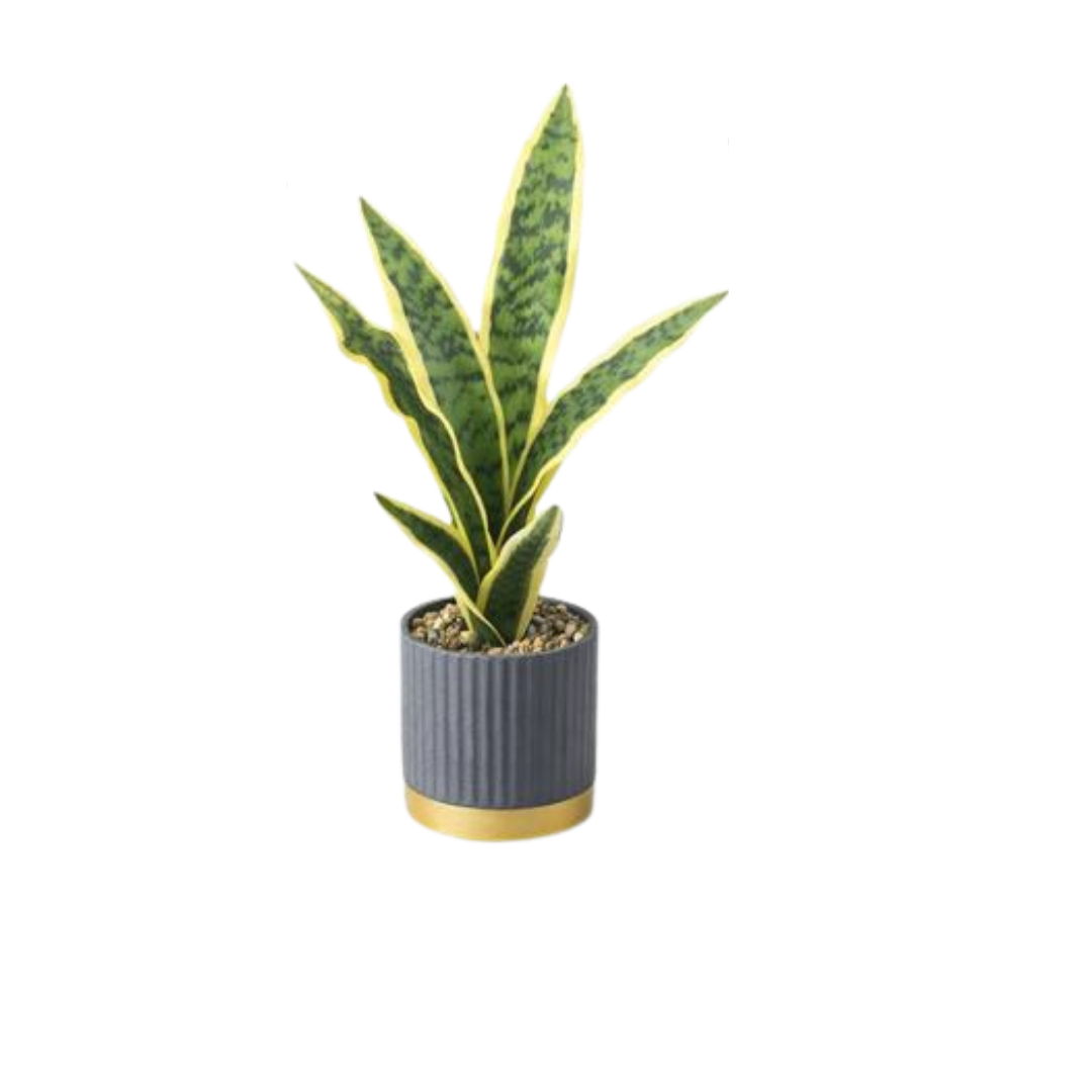 Planta artificial tipo sansevieria em vaso cinza com base dourada.