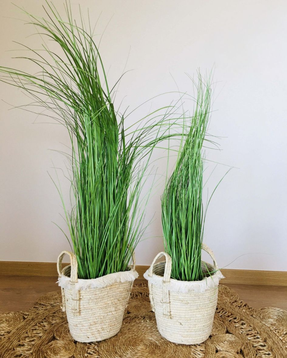 Duas plantas verdes em vasos de tecido branco em tapete redondo de fibras naturais.