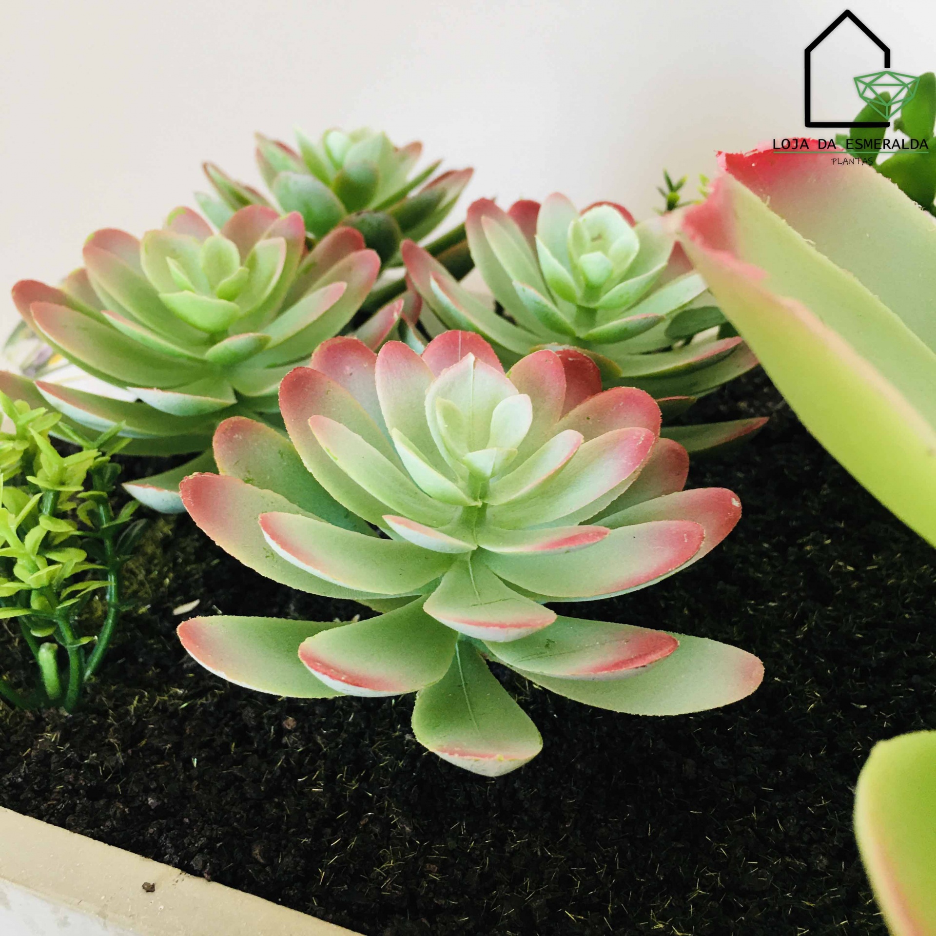 Suculentas artificiais verdes com pontas vermelhas em vaso branco