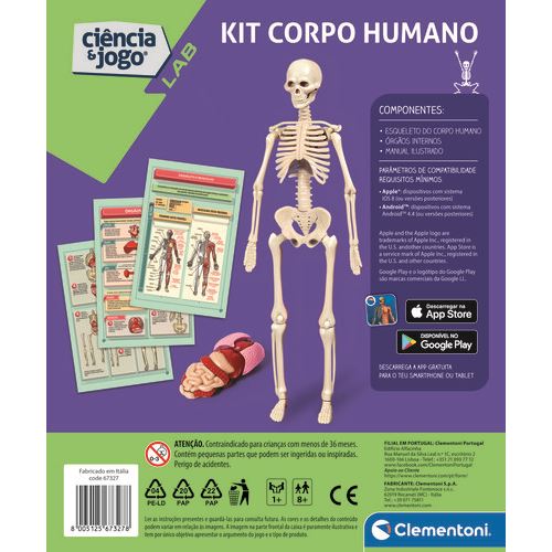 Kit Corpo Humano com esqueleto modelado e instruções