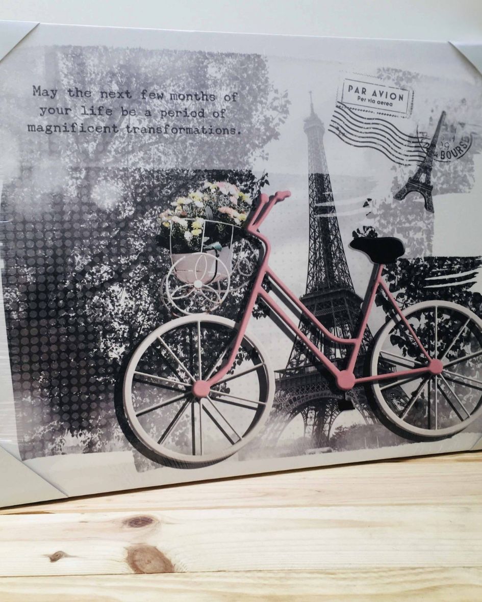 Quadro decorativo com Torre Eiffel, bicicleta rosa e texto inspirador