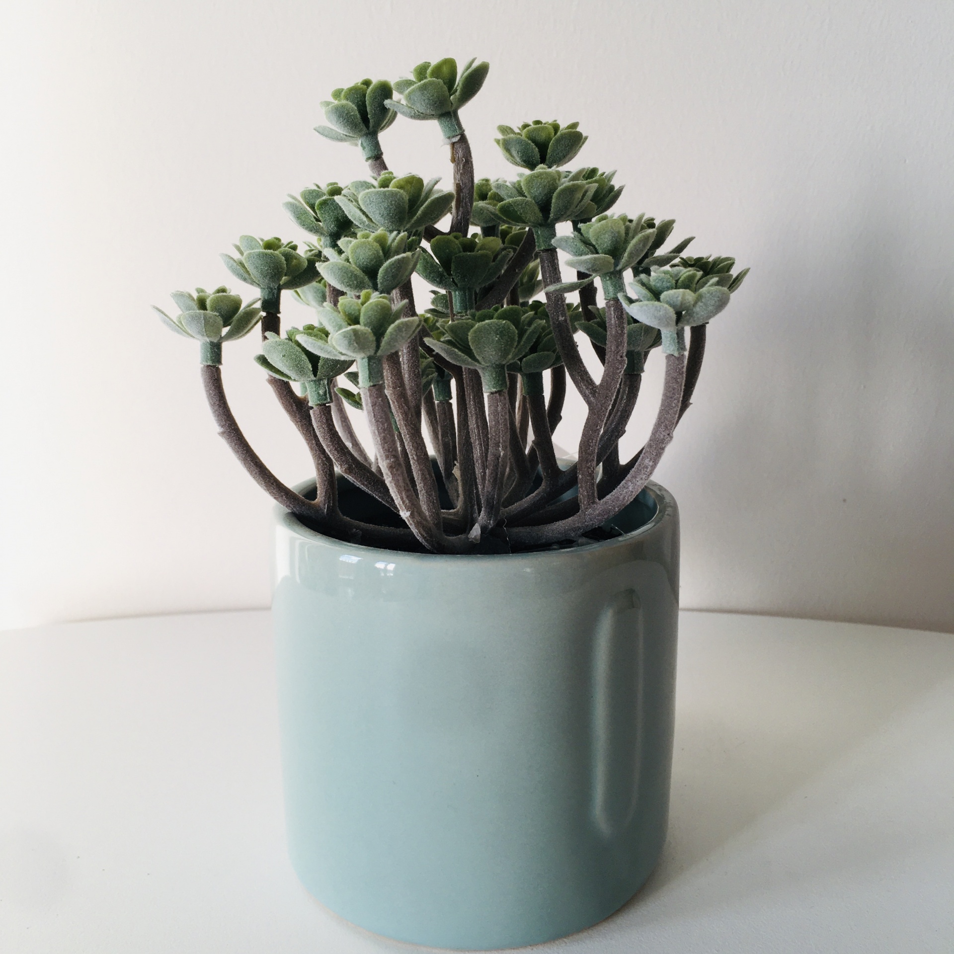 Planta suculenta artificial num vaso cerâmico azul claro