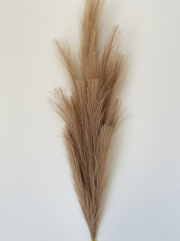 Ramo decorativo de penas secas castanhas claro contra fundo branco