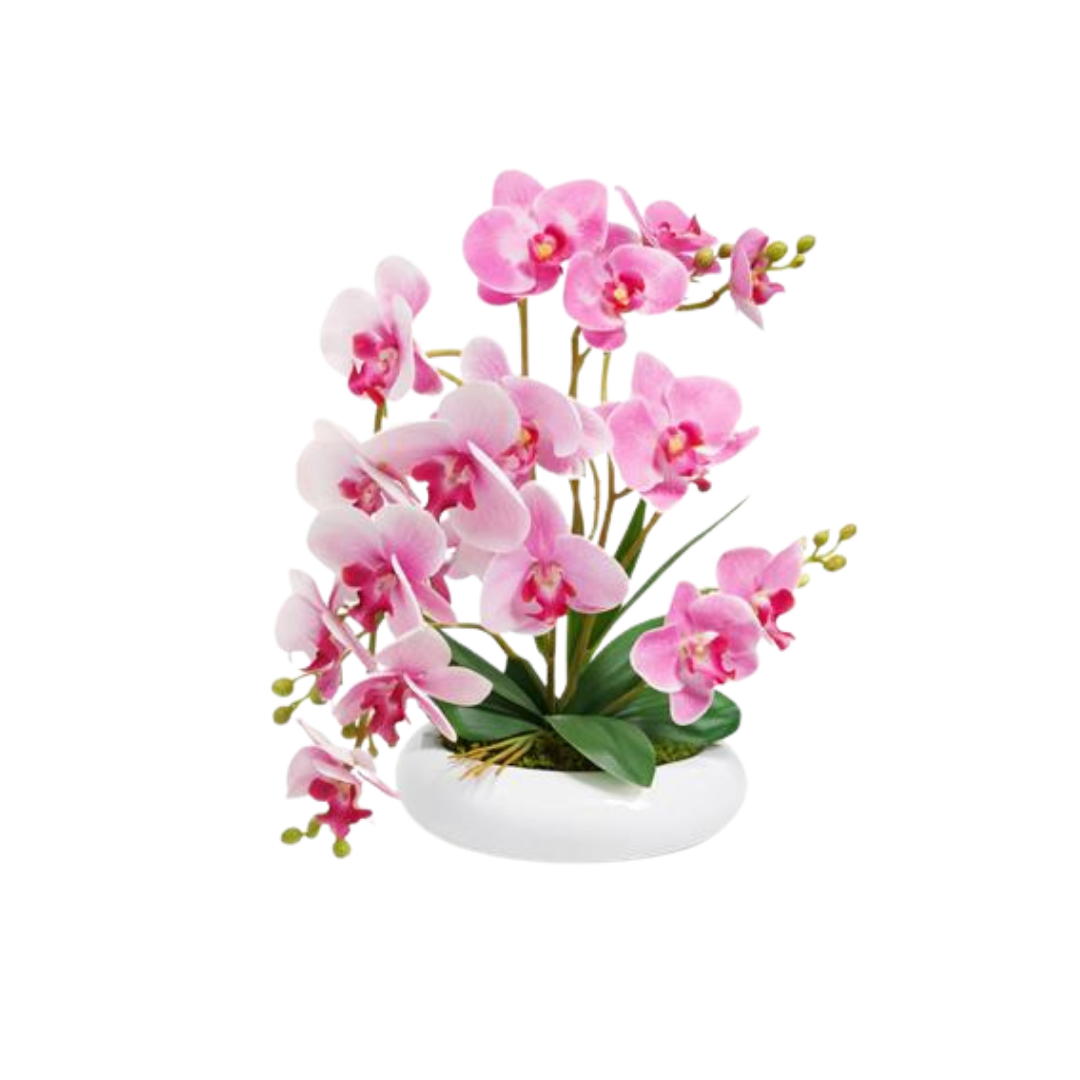 Arranjo de orquídeas cor-de-rosa em vaso branco