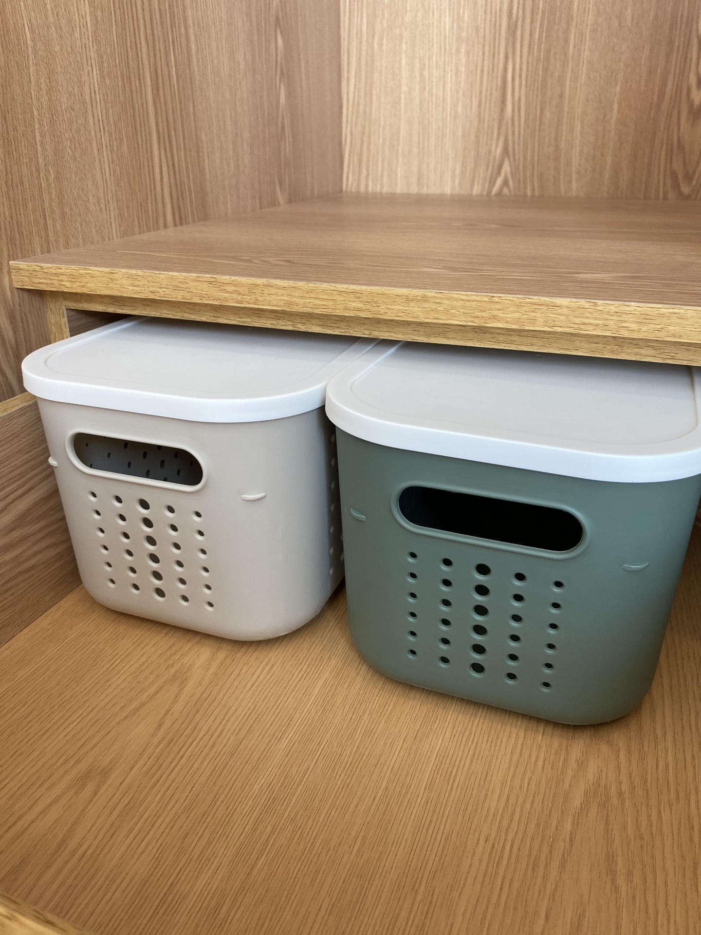 Duas caixas de plástico bege e verde-escuro com tampas brancas numa prateleira de madeira