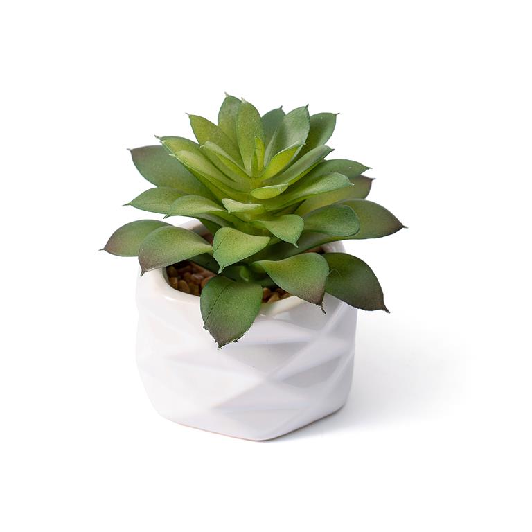 vaso branco texturado com planta suculenta artificial verde