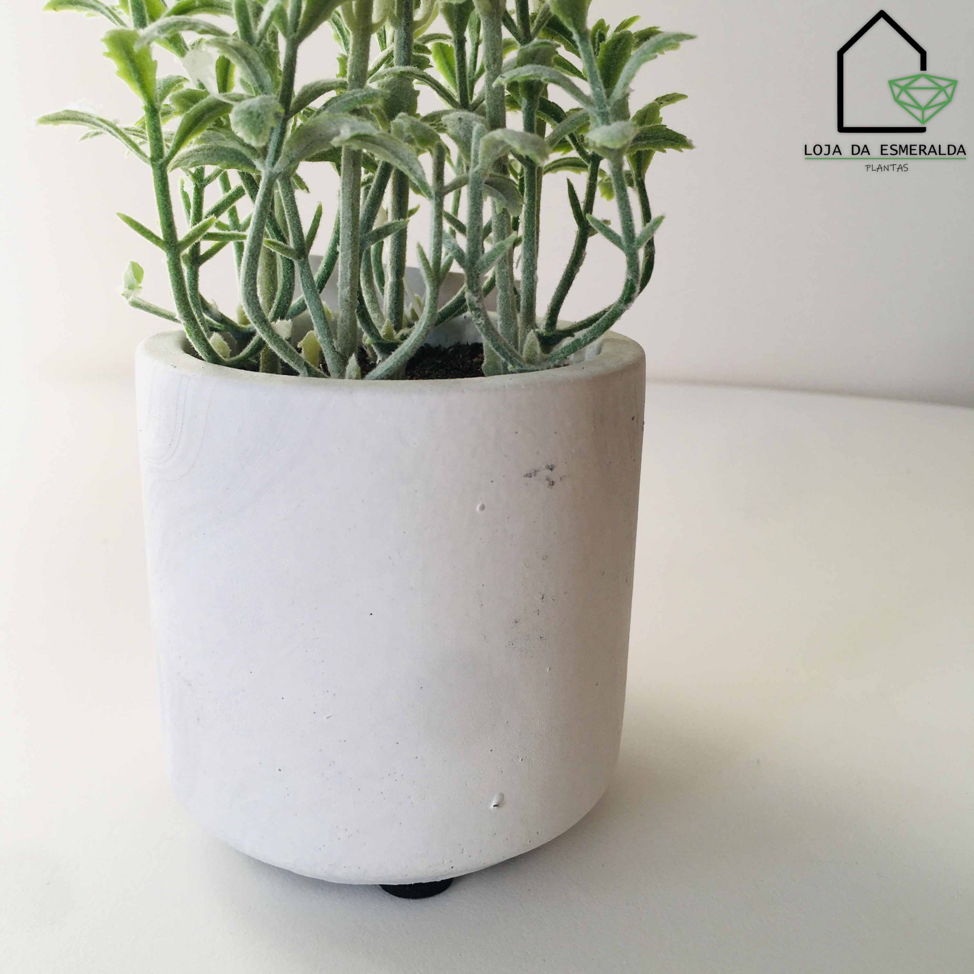 Vaso branco cerâmico com planta suculenta verde e logotipo Loja da Esmeralda Plantas