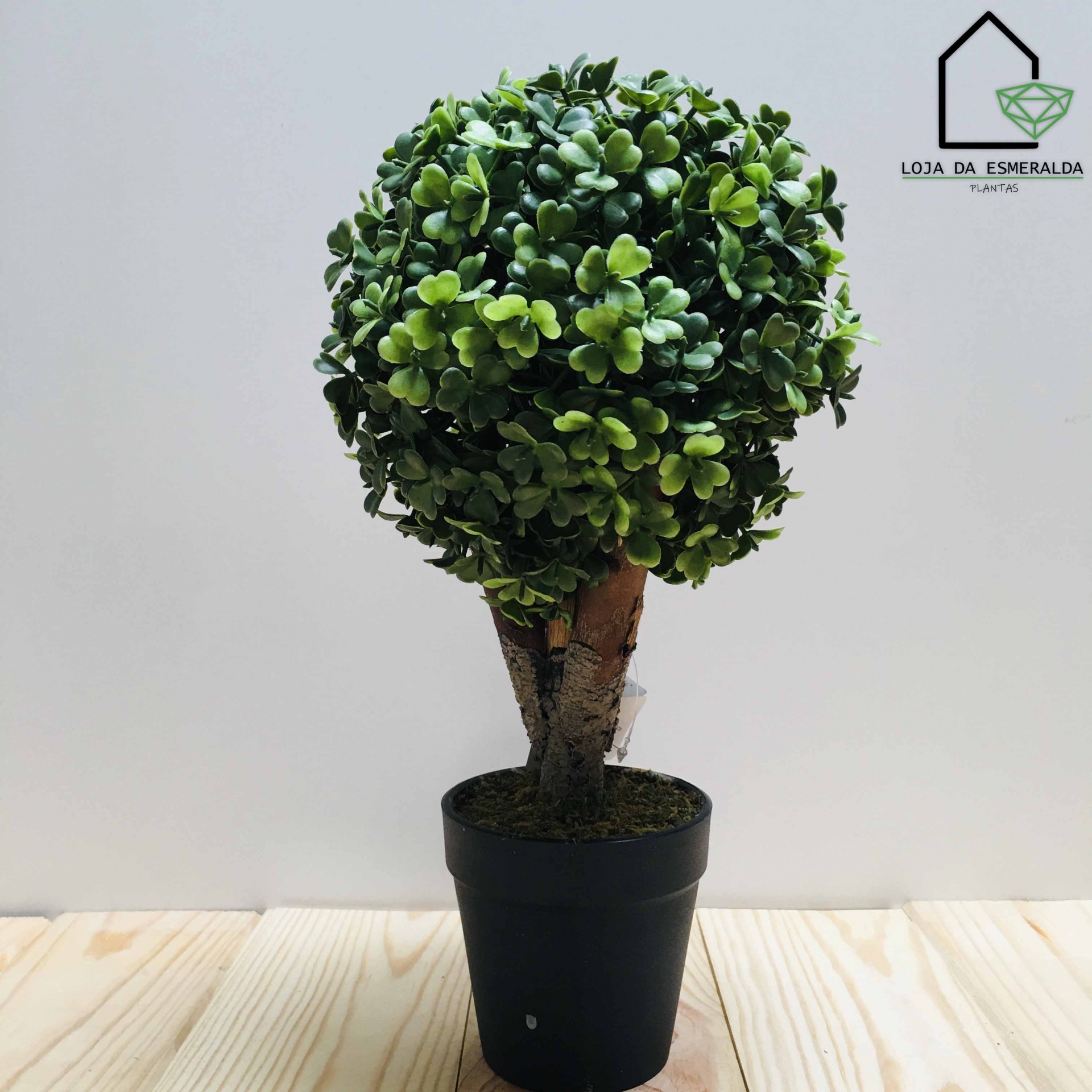 Planta artificial verde em vaso preto com tronco castanho e logótipo Loja da Esmeralda