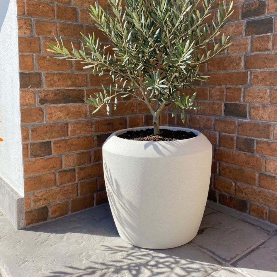 Vaso branco com planta num canto de paredes de tijolos vermelhos