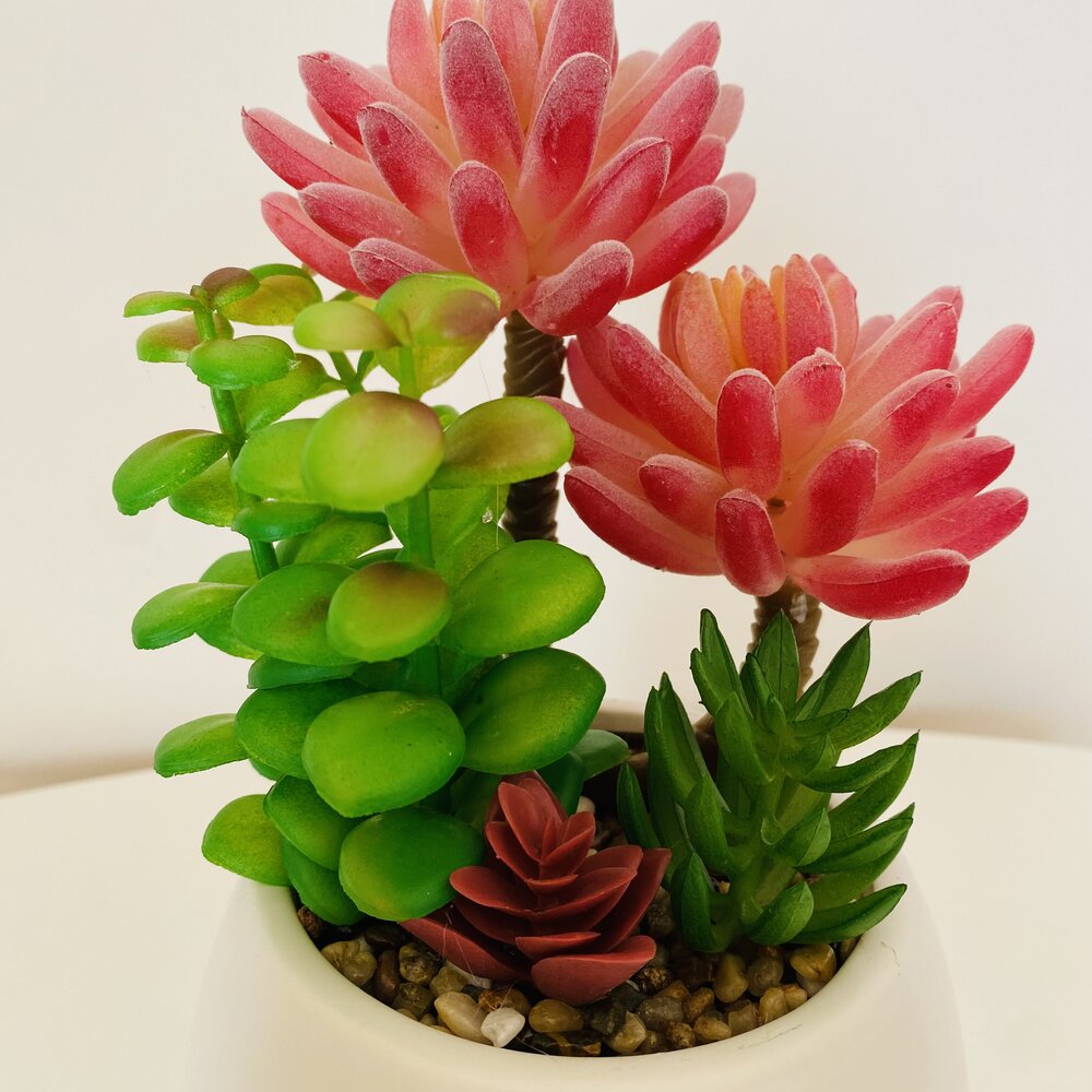 Plantas suculentas artificiais coloridas em vaso branco com pedras
