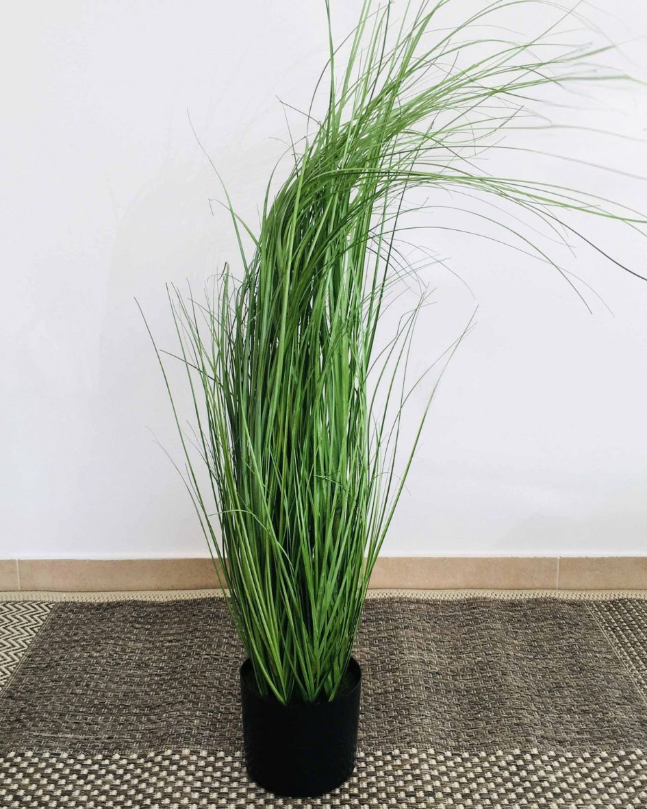 Planta verde com folhas finas em vaso preto sobre tapete castanho e bege