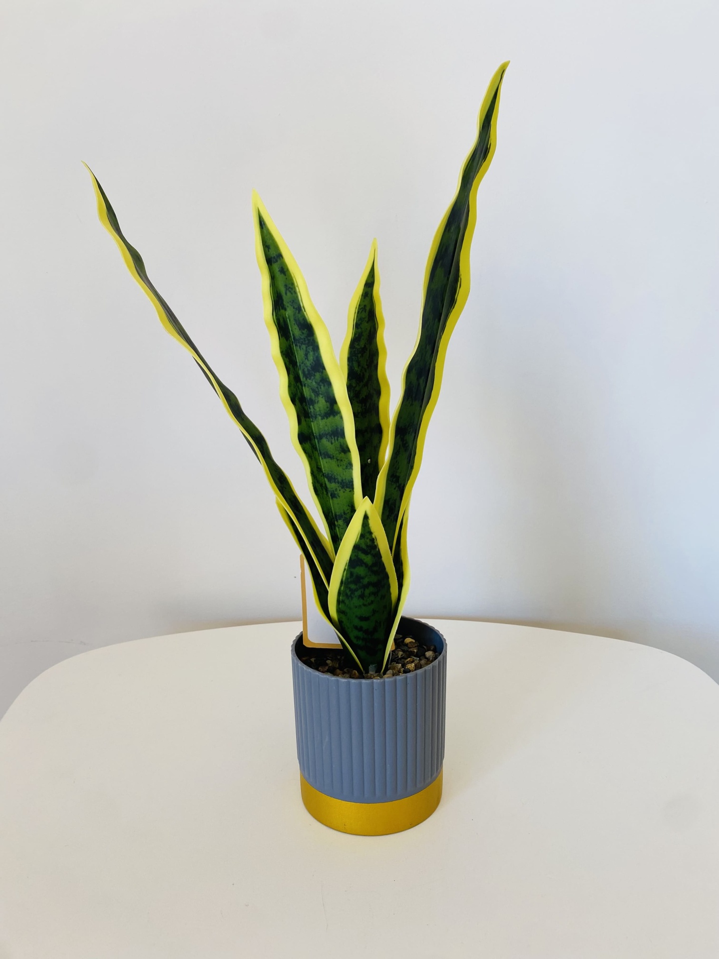 Planta Snake Plant com folhas verdes e bordas amarelas em vaso cinzento com base dourada sobre mesa branca.