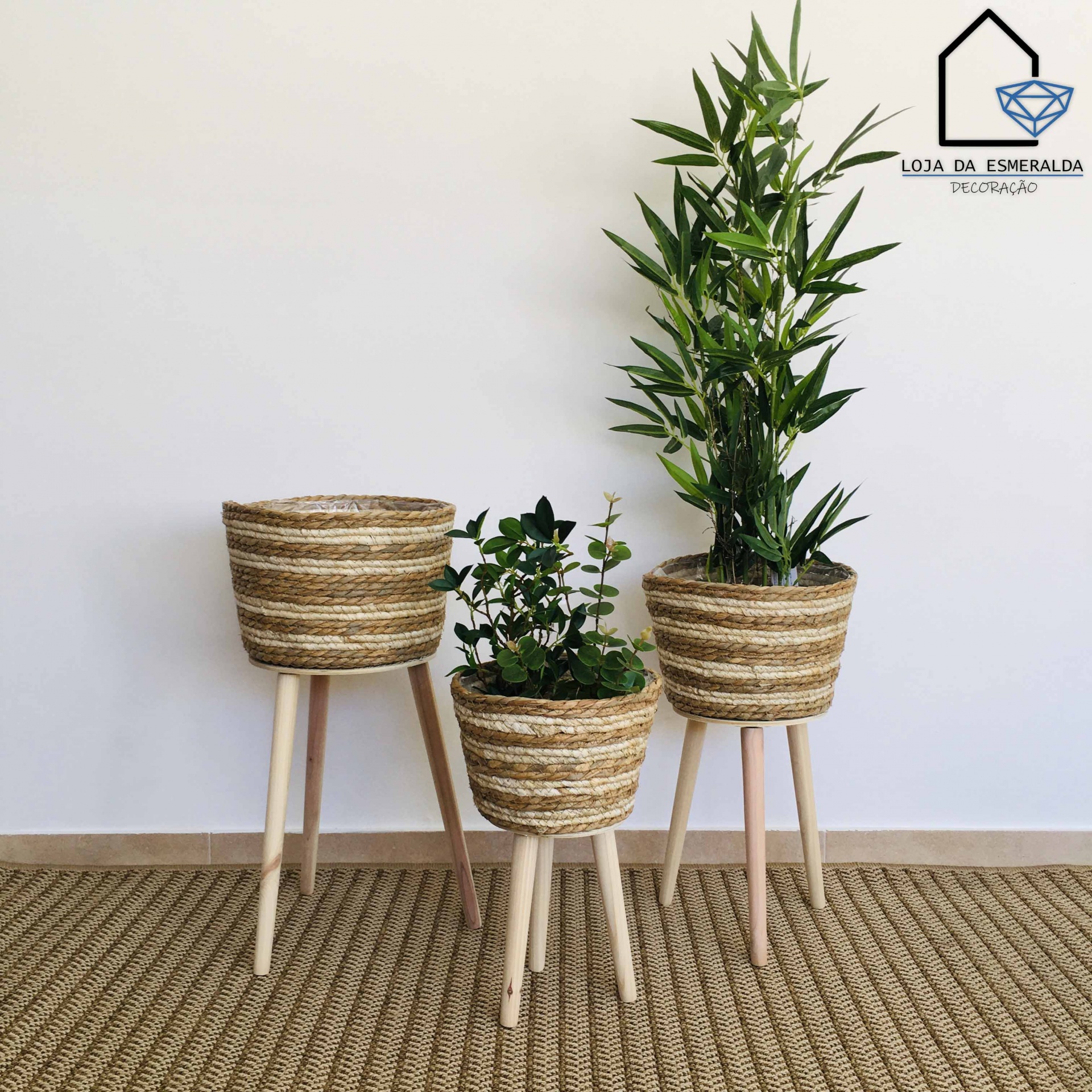 Três floreiras com suportes de madeira clara e vasos listrados com plantas verdes