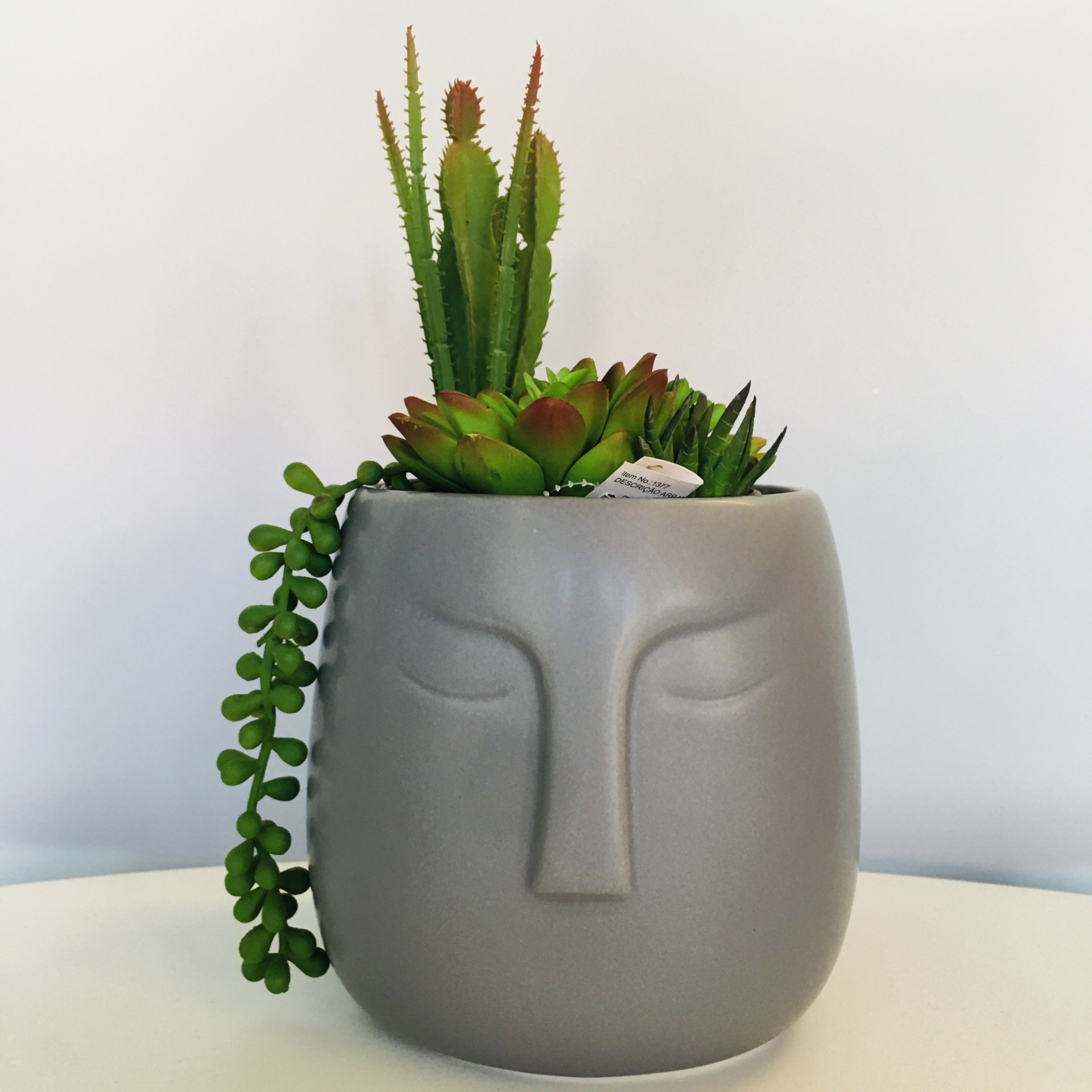 Vaso cinza com rosto e plantas suculentas