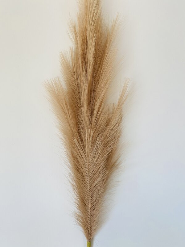 Ramo de plumas bege claro contra fundo branco