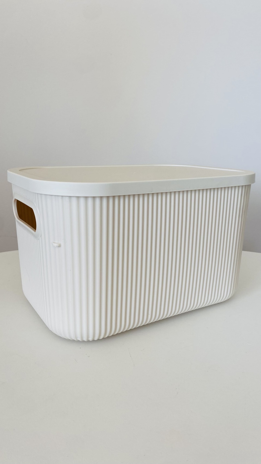 Caixa de arrumação branca em plástico com tampo e alças laterais