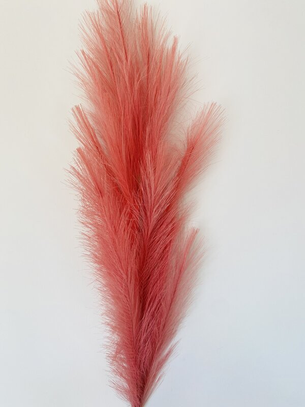 Ramo de plumas decorativas coral