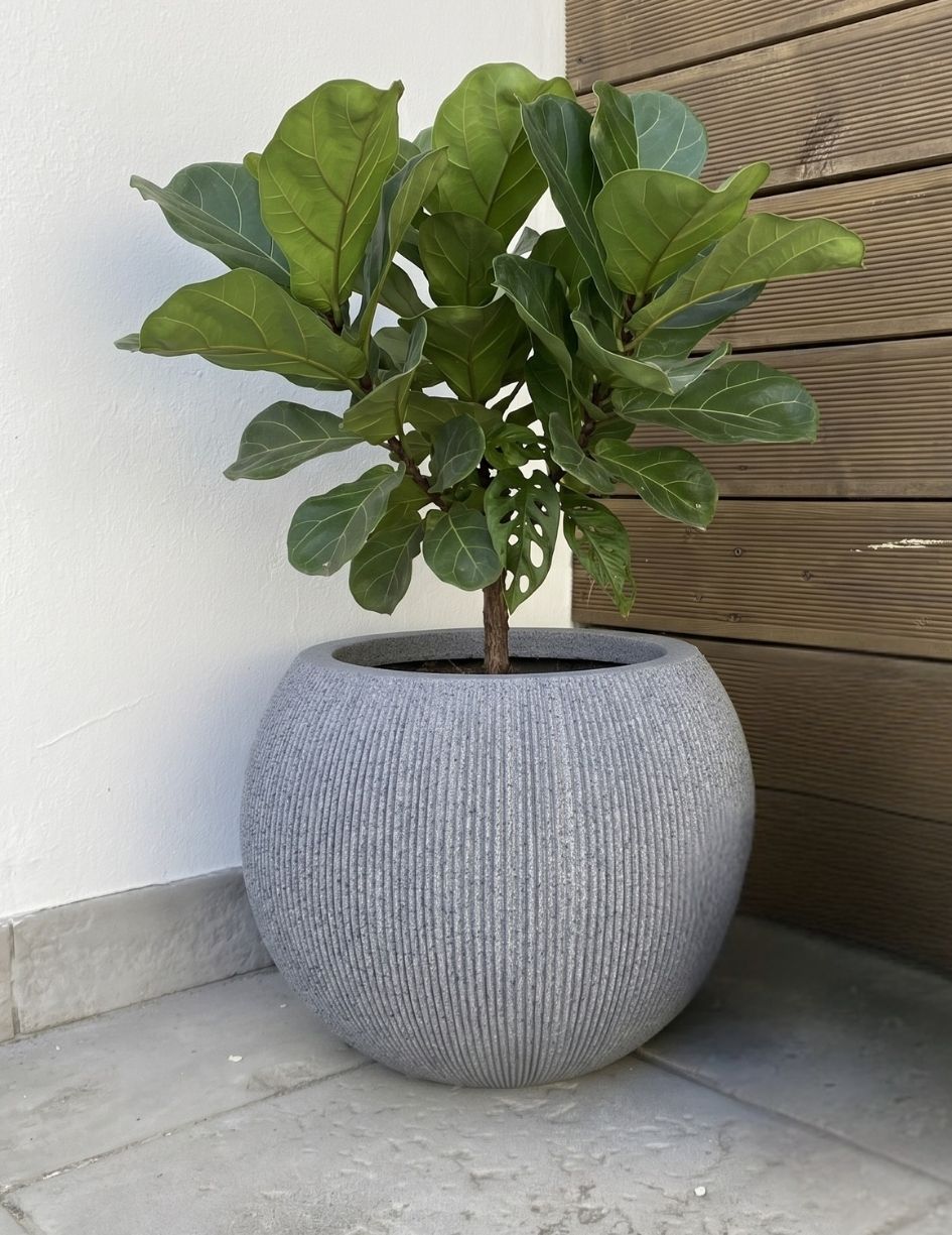 Vaso cinza texturado com planta de folhas verdes num canto com parede branca e madeira