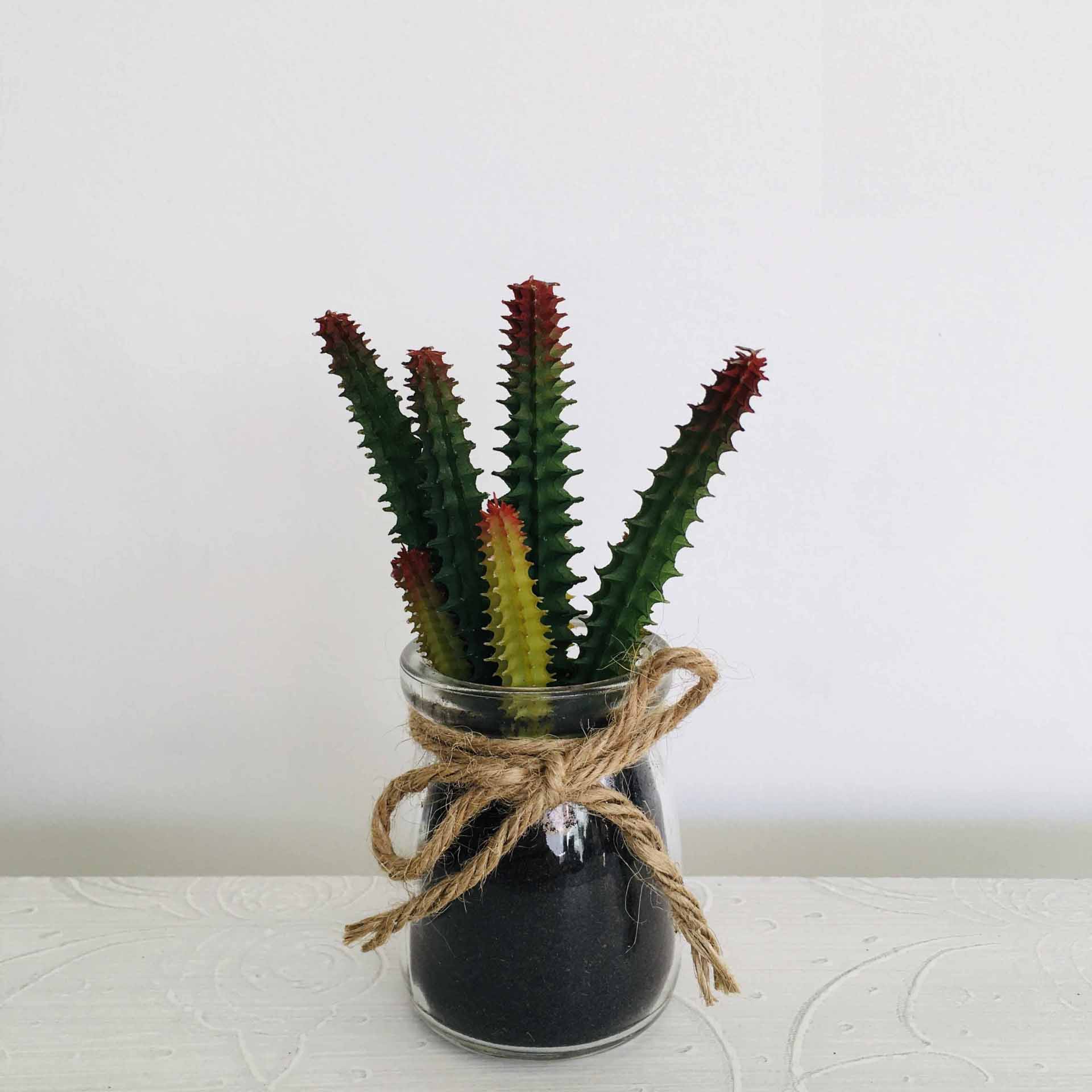 Vaso de vidro com planta suculenta artificial colorida