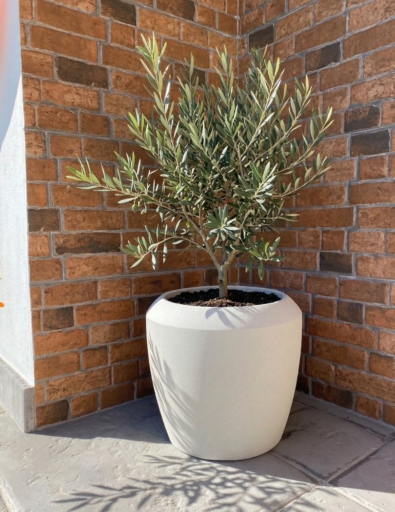 Vaso branco com planta em frente a parede de tijolos.