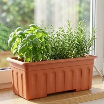 Jardineira de plástico castanho com ervas frescas verdes em cima de madeira junto a janela
