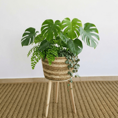 Plantas em vaso de palha trançada com pernas de madeira