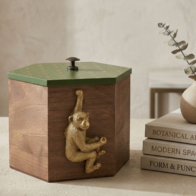 Caixa de madeira hexagonal com tampa verde e figura dourada de macaco na lateral, ao lado de livros empilhados