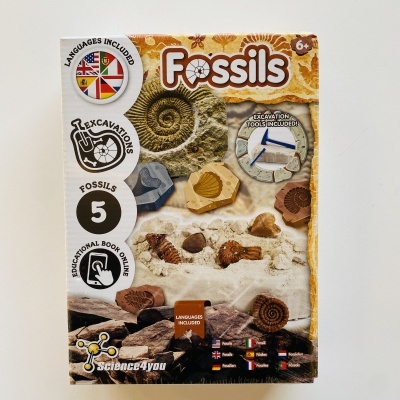 Caixa de kit de escavação de fósseis para crianças com imagens de fósseis e ferramentas.