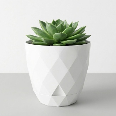 Vaso branco com textura geométrica contendo suculenta verde