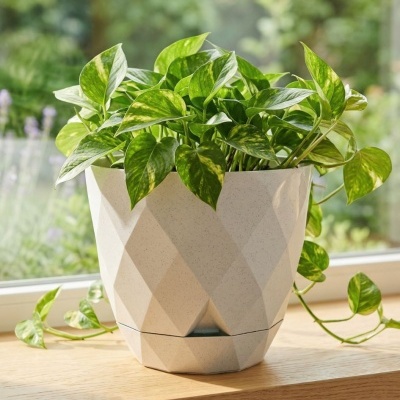 Vaso cinza claro geométrico com planta verde dentro em cima de madeira junto a janela