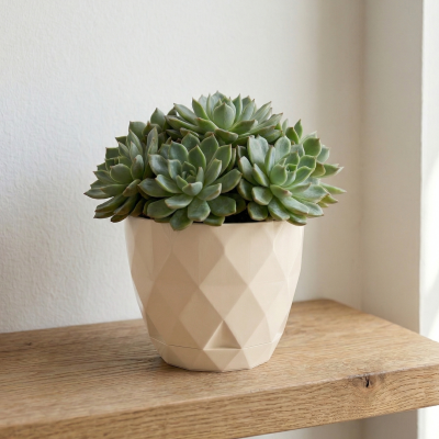 Vaso cerâmico bege com planta suculenta verde sobre prateleira de madeira