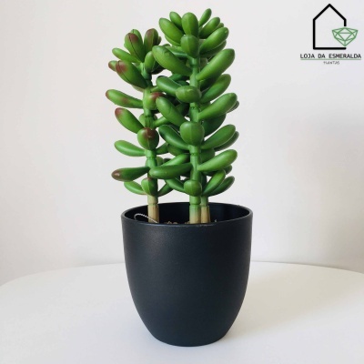 Vaso preto com duas suculentas verdes em fundo branco com logotipo Loja da Esmeralda Plantas