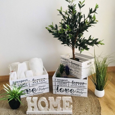 Caixas brancas de madeira com texto e plantas artificiais, letras HOME decorativas em fundo de carpete redondo.