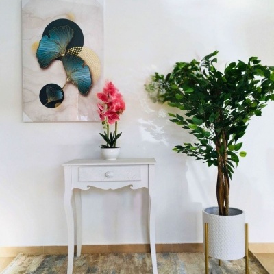 Consola branca com vaso de flores cor-de-rosa, quadro decorativo e planta verde em vaso branco com suporte dourado