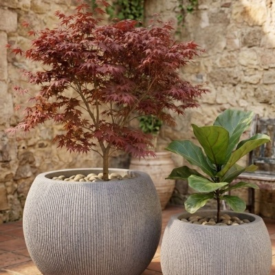 Dois vasos grandes redondos de cerâmica com plantas internas