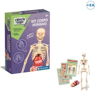 Kit educativo para montar modelo 3D do corpo humano com esqueleto e órgãos internos, embalagem roxa e verde.