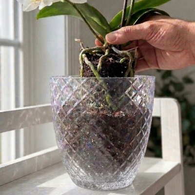Orquídea branca em vaso transparente texturizado com mão masculina a colocar planta