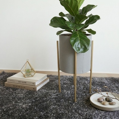 Vaso de planta em suporte dourado, livros e decoração geométrica sobre carpete cinza