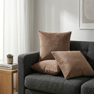 Almofadas castanho claro sobre sofá cinzento com mesa de madeira e planta suculenta