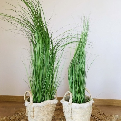 Duas plantas verdes em vasos de tecido branco em tapete redondo de fibras naturais.