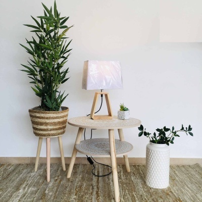 Conjunto de móveis e plantas decorativas em ambiente interior com mesa de madeira clara e luminária